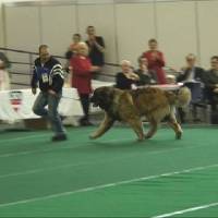 Salzburg Clubschau Mai 06 157 